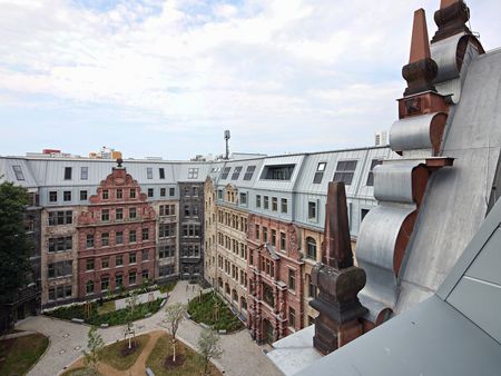 Victoriahöfe Berlin Dachlandschaft