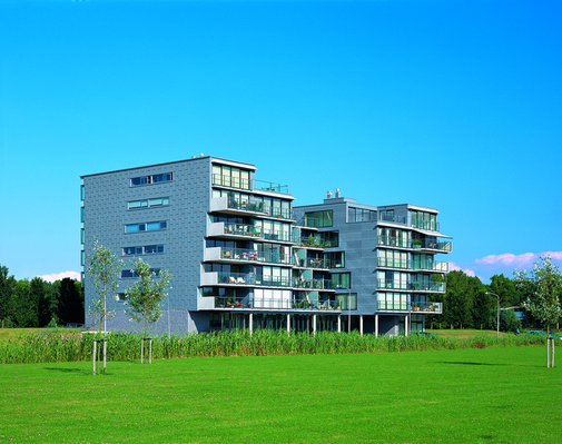 Noorderplassen